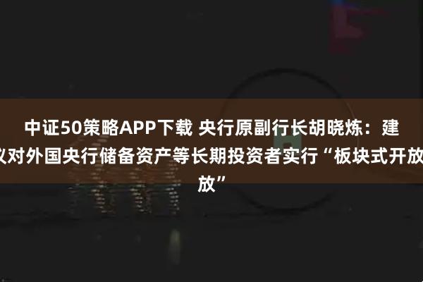 中证50策略APP下载 央行原副行长胡晓炼：建议对外国央行储备资产等长期投资者实行“板块式开放”